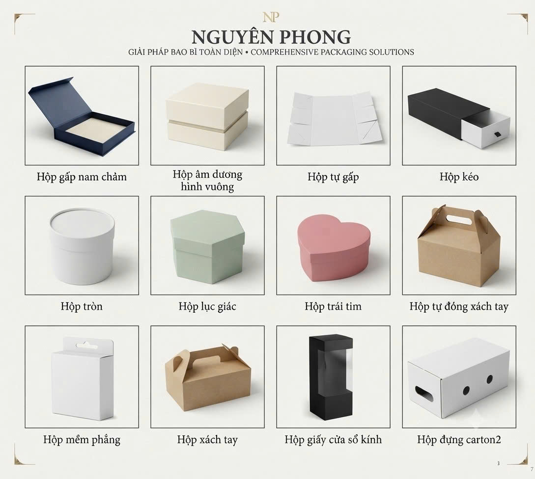 Một số loại hộp giấy Nguyên Phong sản xuất 